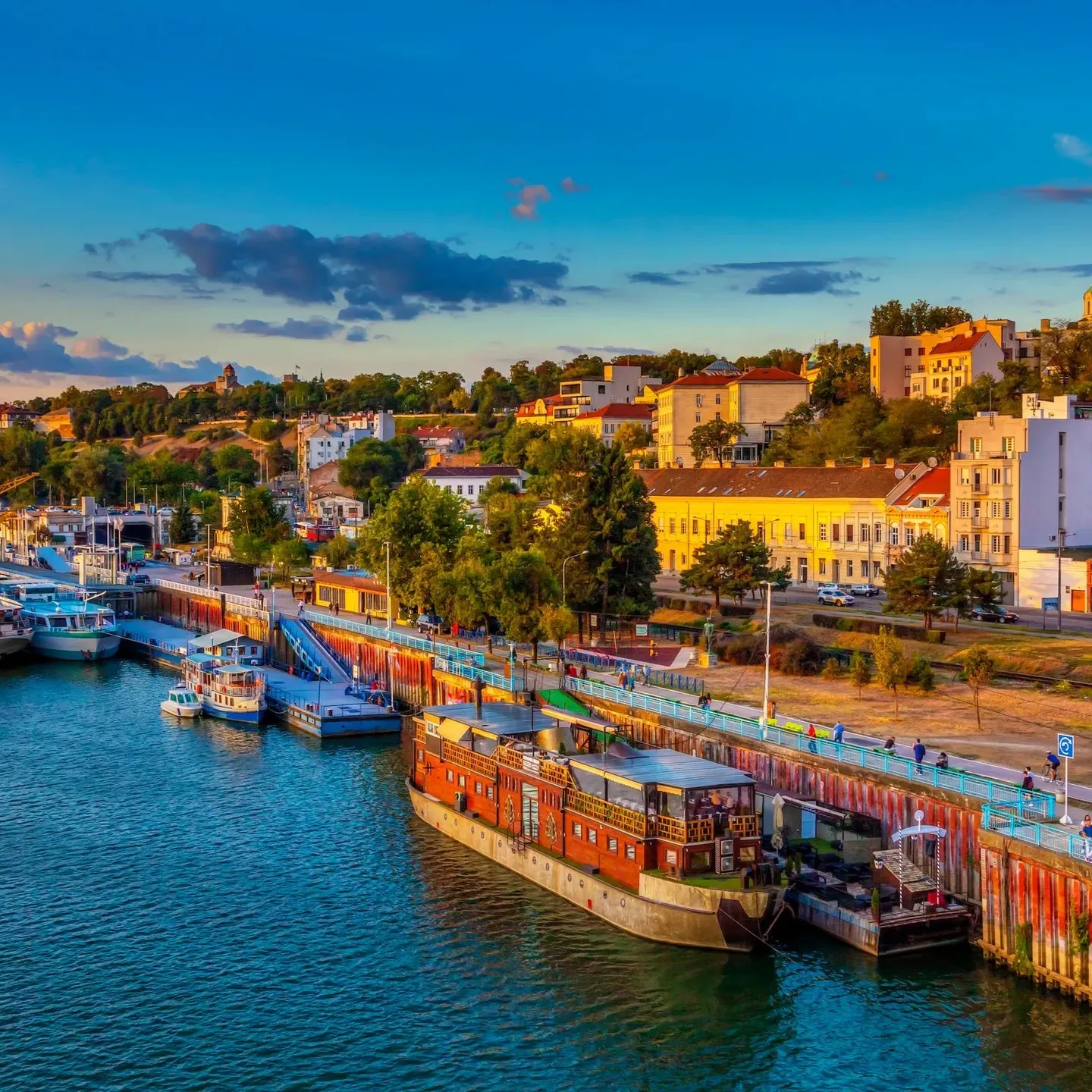 study in Serbia